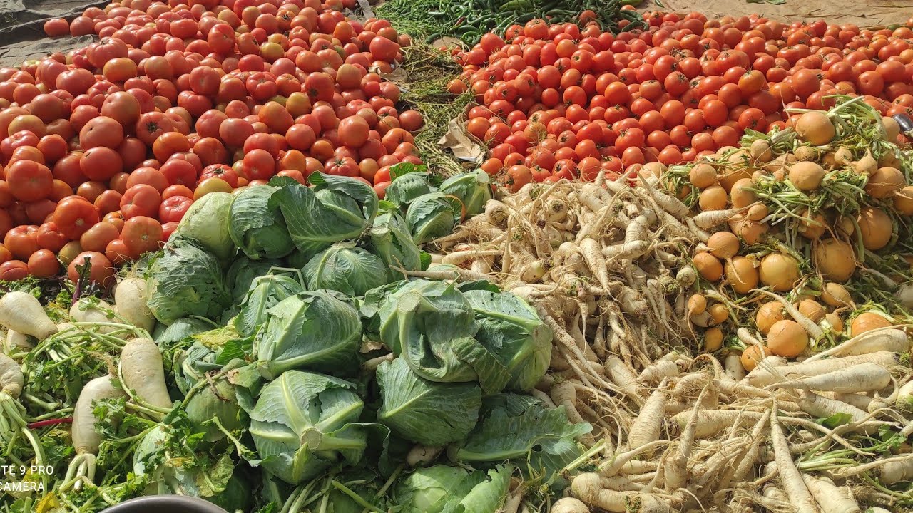السوق الأسبوعي دمنات اثمنة الخضر و الفواكه19/02/2023 مرحبا بطلبايتكم ديال زيت الزيتون قلعة السراغنة