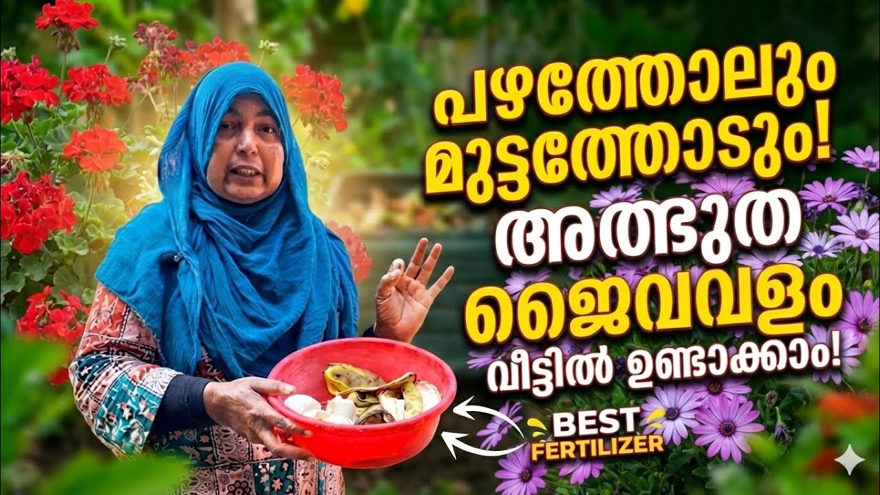 ചില്ലിക്കാശ് മുടക്കില്ലാത്ത ദ്രാവക രൂപത്തിലുള്ള ഈ വളംകൊടുക്കൂ ചെടികൾ ഭ്രാന്ത്പിടിച്ച് പൂക്കും 👌