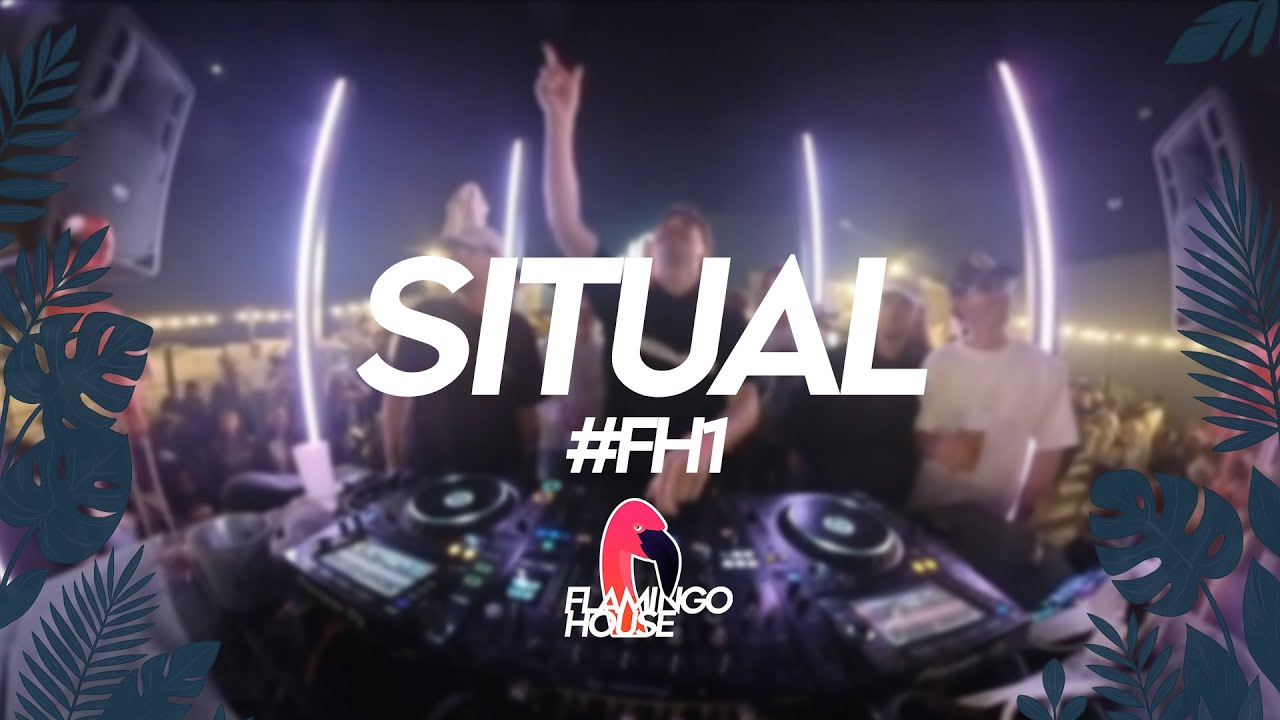 UK Garage & Speed Garage DJ Set by SituaL | FLAMINGO HOUSE #FH1