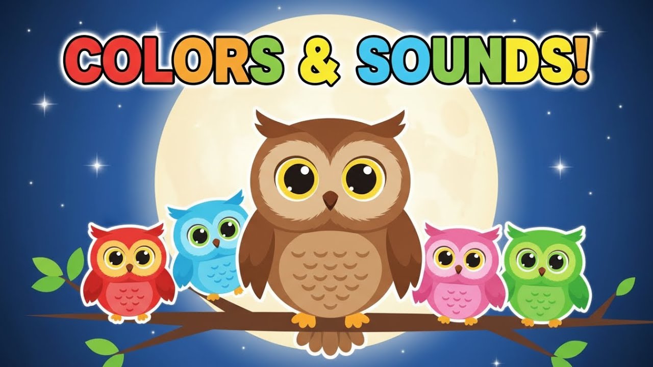 🦉 Friendly Night Owl Song 🌈 Colors & Sounds for Kids | Fun Nursery Rhymes & Baby Songs