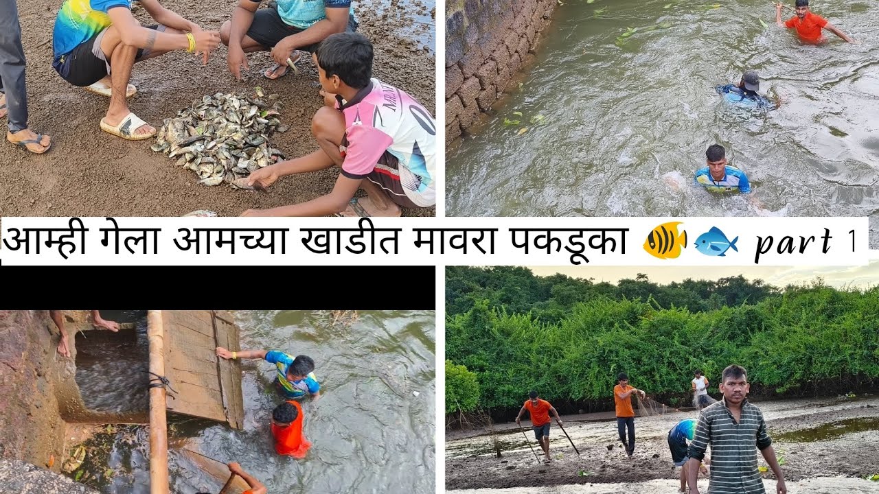 आम्ही गेलाव आमच्या खाडीत मावरा पकडूका 🐠🐠 सगळे वाडीतल्ये पोर 🐟😱 #kokancha Bantya # Village 