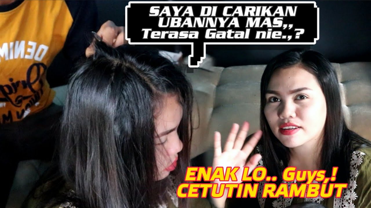 Petan rambut cari uban, Cekluk rambut rasanya nikmat banget, coba deh....?