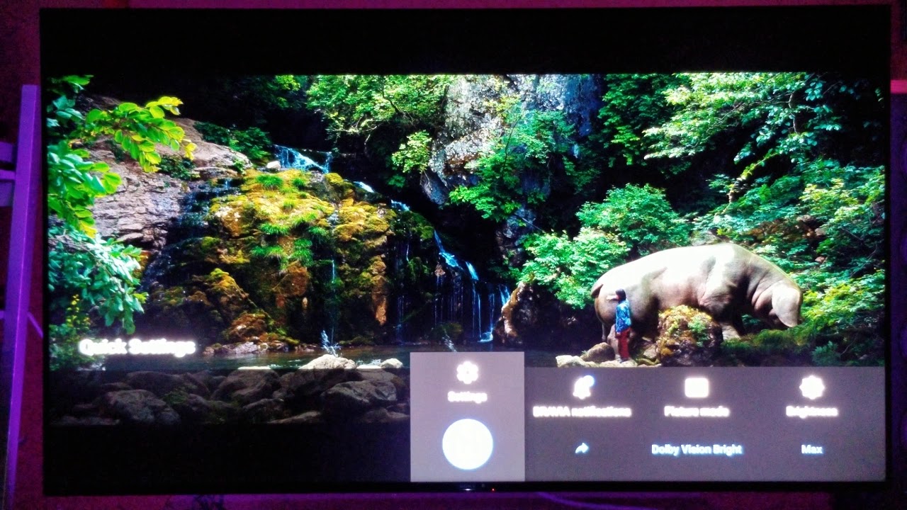NETFLIX KILLER DOLBY VISON SETTINGS FOR THE Z9F,  950G, 950H,
