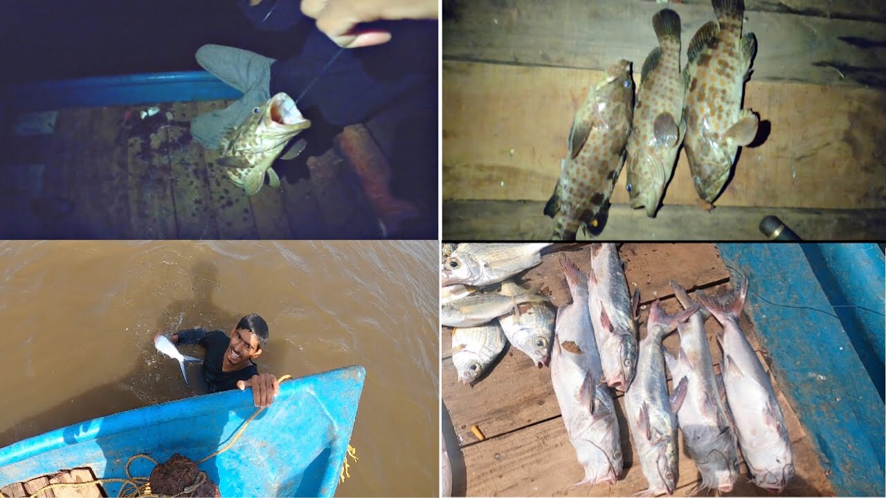 Catching grouper fish in night || net se pakde fish || #fishing @bablusolkar
