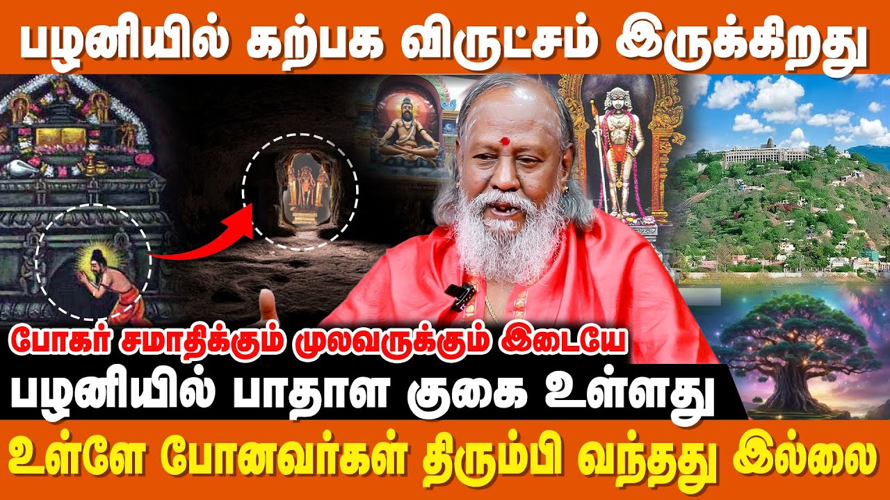 பழனி என்ற பெயருக்கு இப்படி ஒரு அர்த்தம் இருக்கு | Pulipani Siddhar|Bogar|Navapashanam Palani Murugan