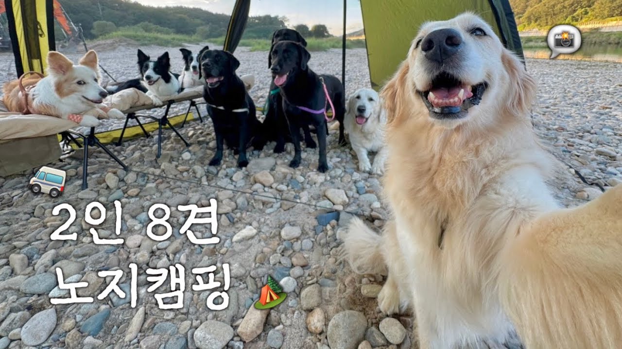 고생이 이븐하게 익었네요 합격입니다.