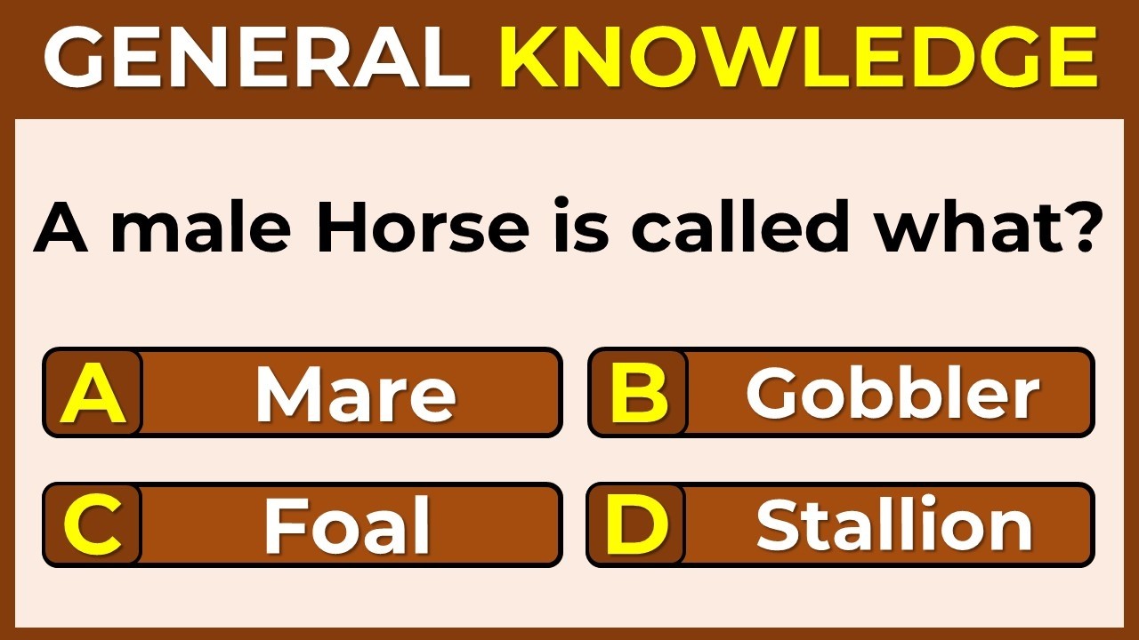 How Smart Are You? | Take This 25-Question Quiz To Find Out | GK