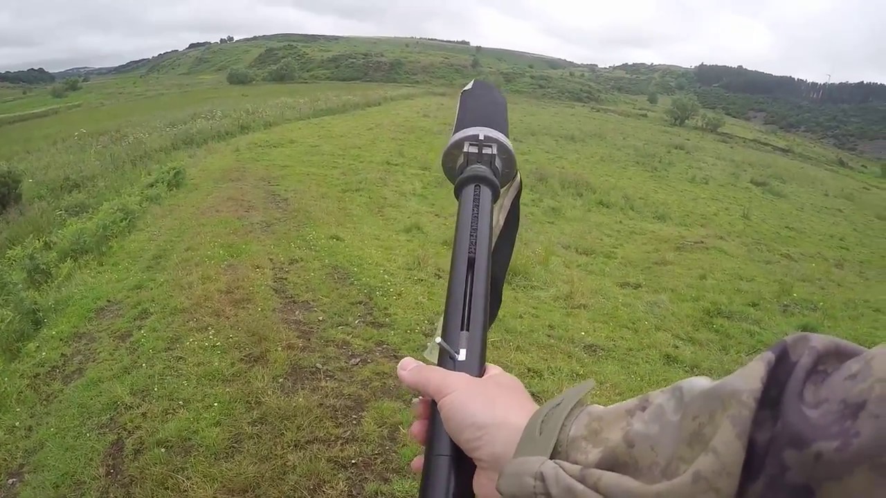Gundog Training Labrador Retriever, Dummy Launcher