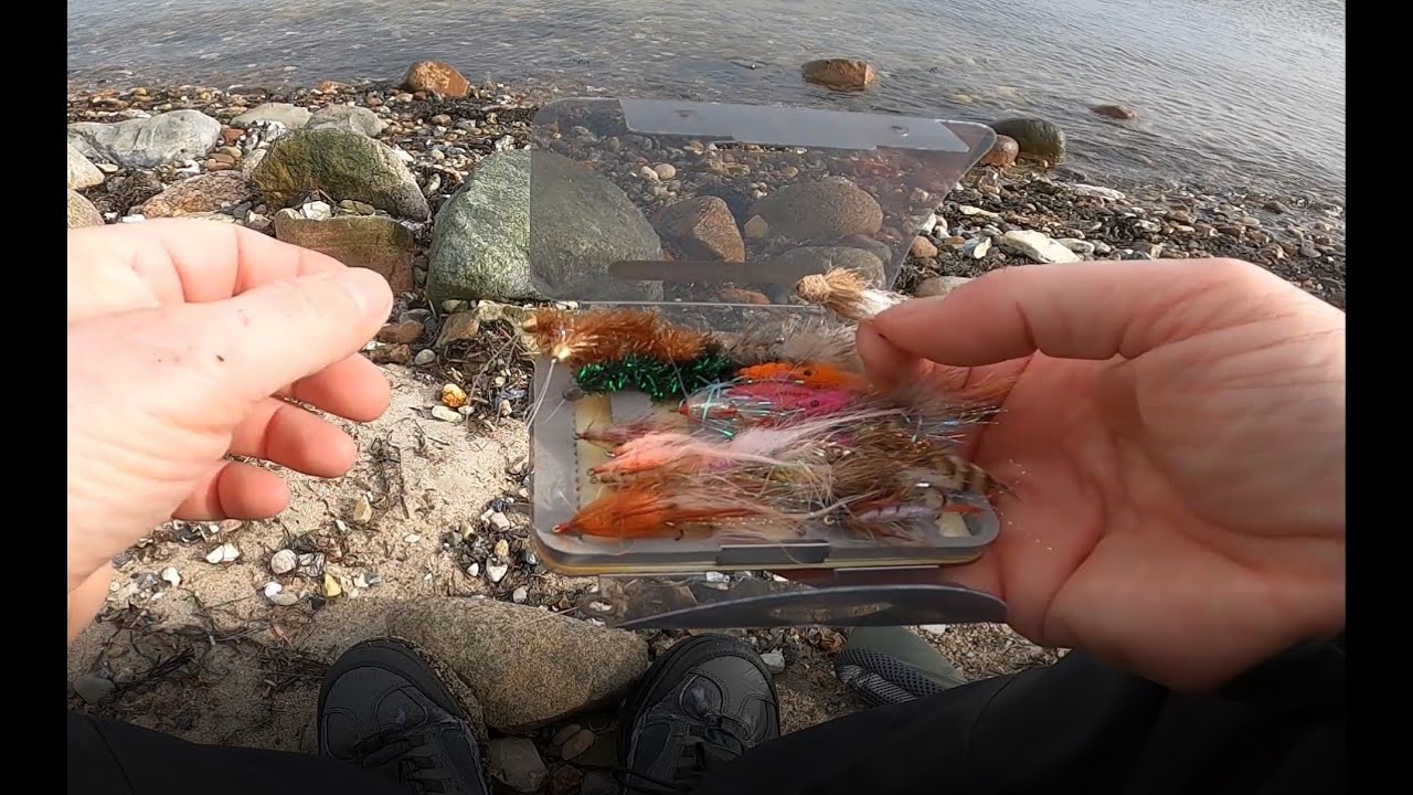 Langs Limfjorden, 2. marts 2025