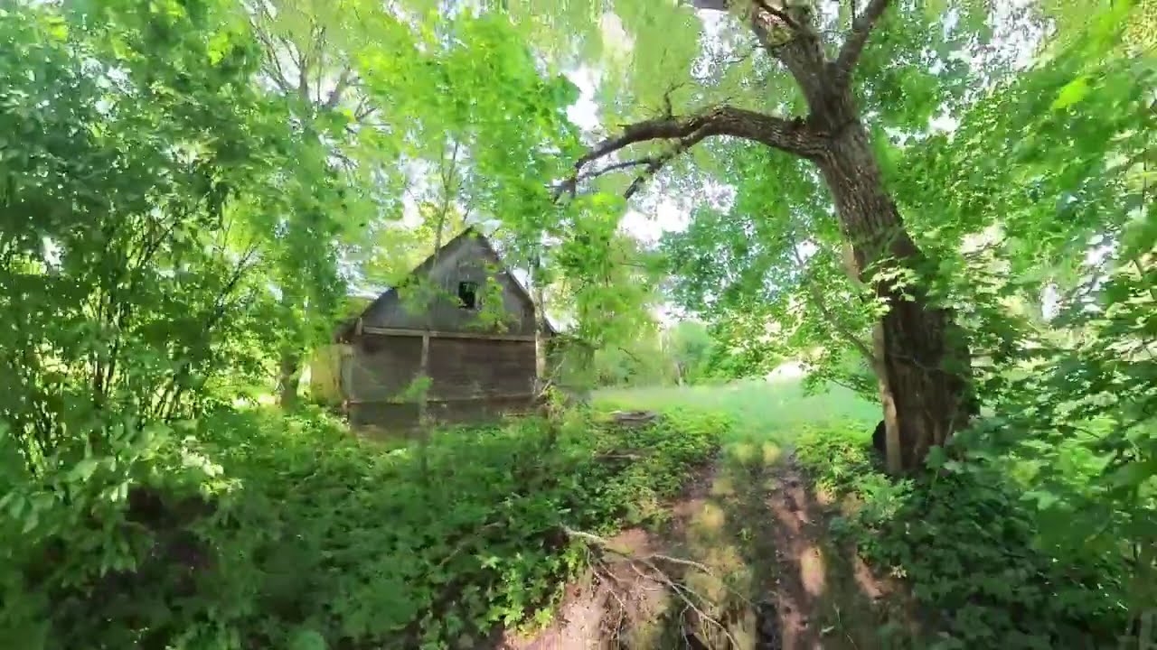 Surdegio vienkiemis - sodyba