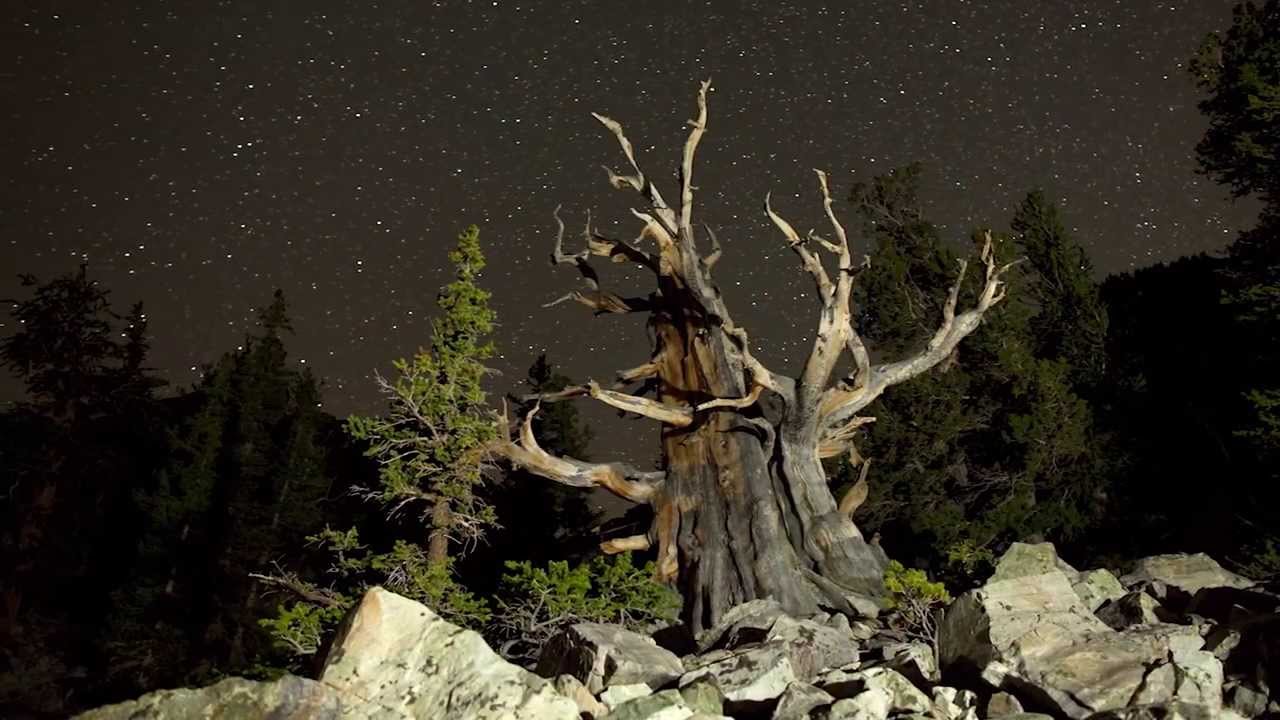 Astronomy Ranger Minute