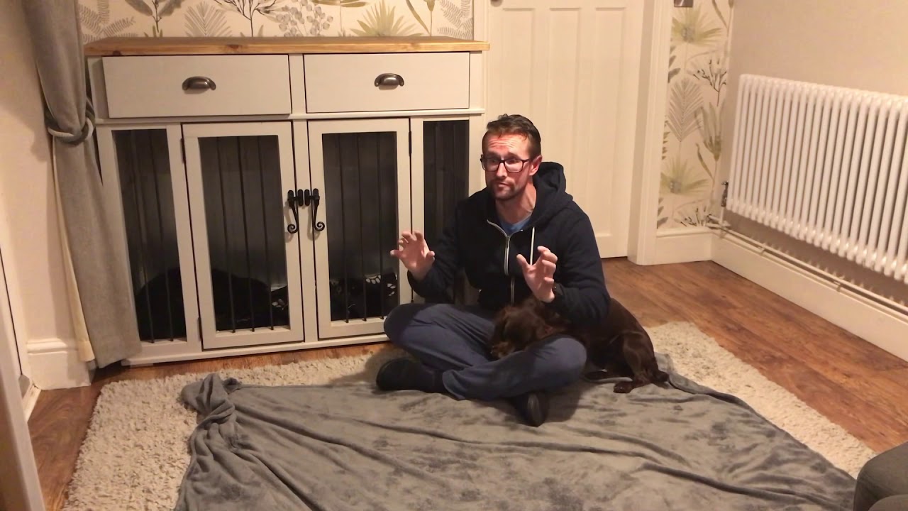 How to build a better bond and get respect from your Working Cocker Spaniel puppy dog