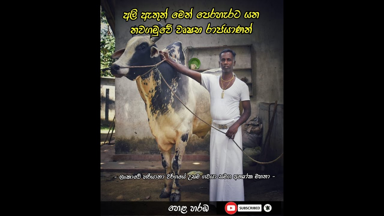 විශ්ණු දේවාල වෘෂභ රා‍ජයා ගැන අ‍ශෝක මහතා කියූ කතාව