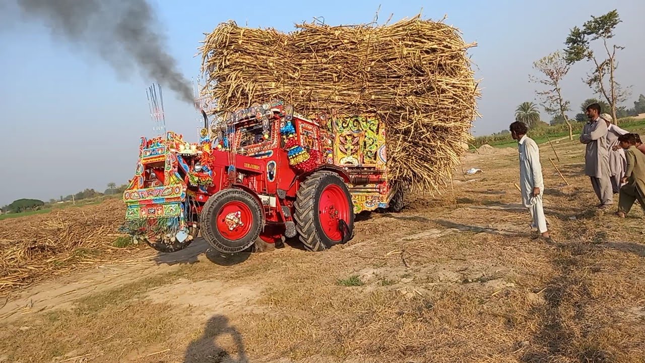 Tractor belarus video 2024