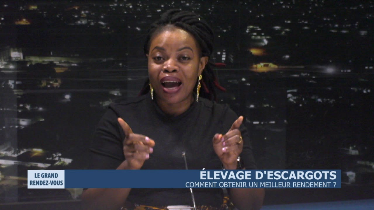 Elevage d'escargots - Comment obtenir un meilleur rendement ?