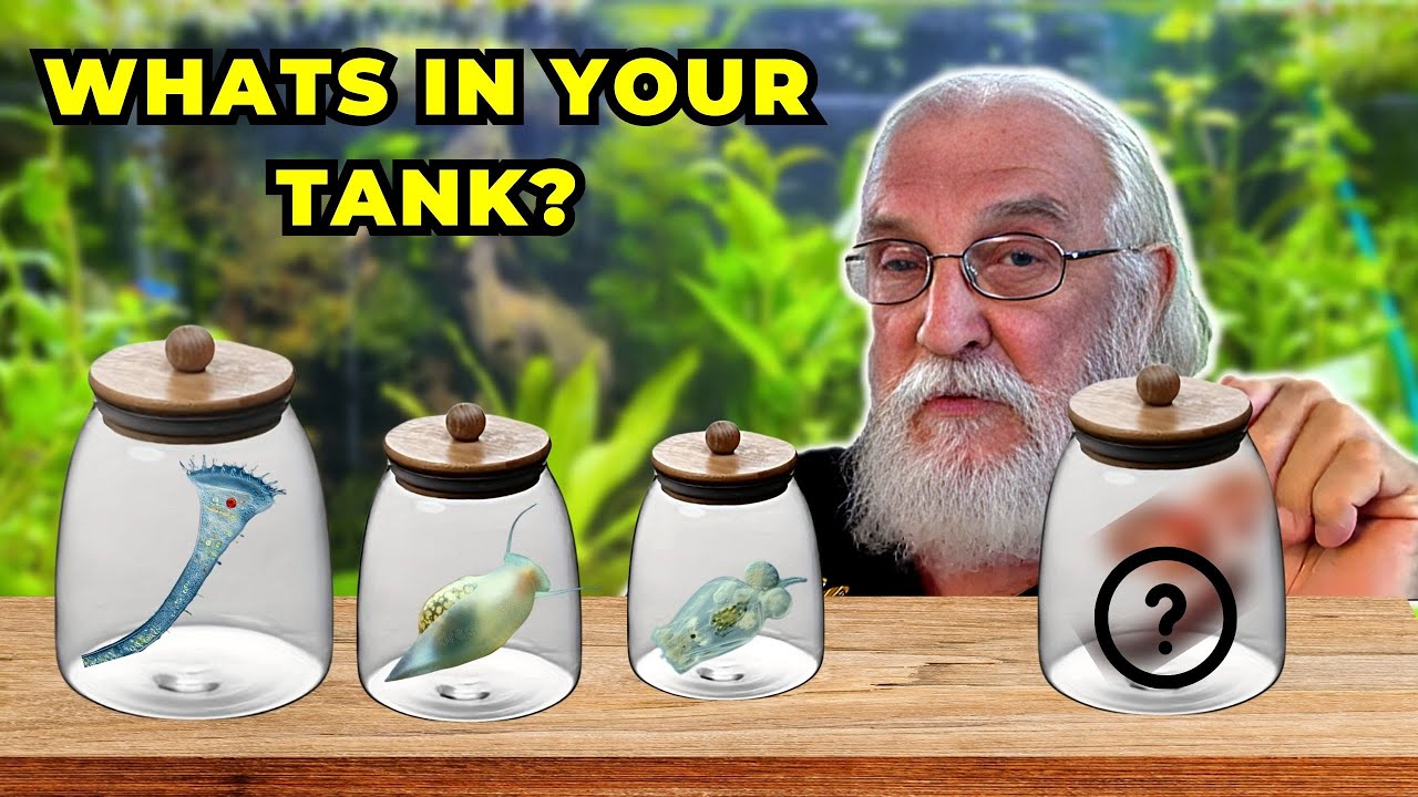 Your Deep Substrate is a Living Filter