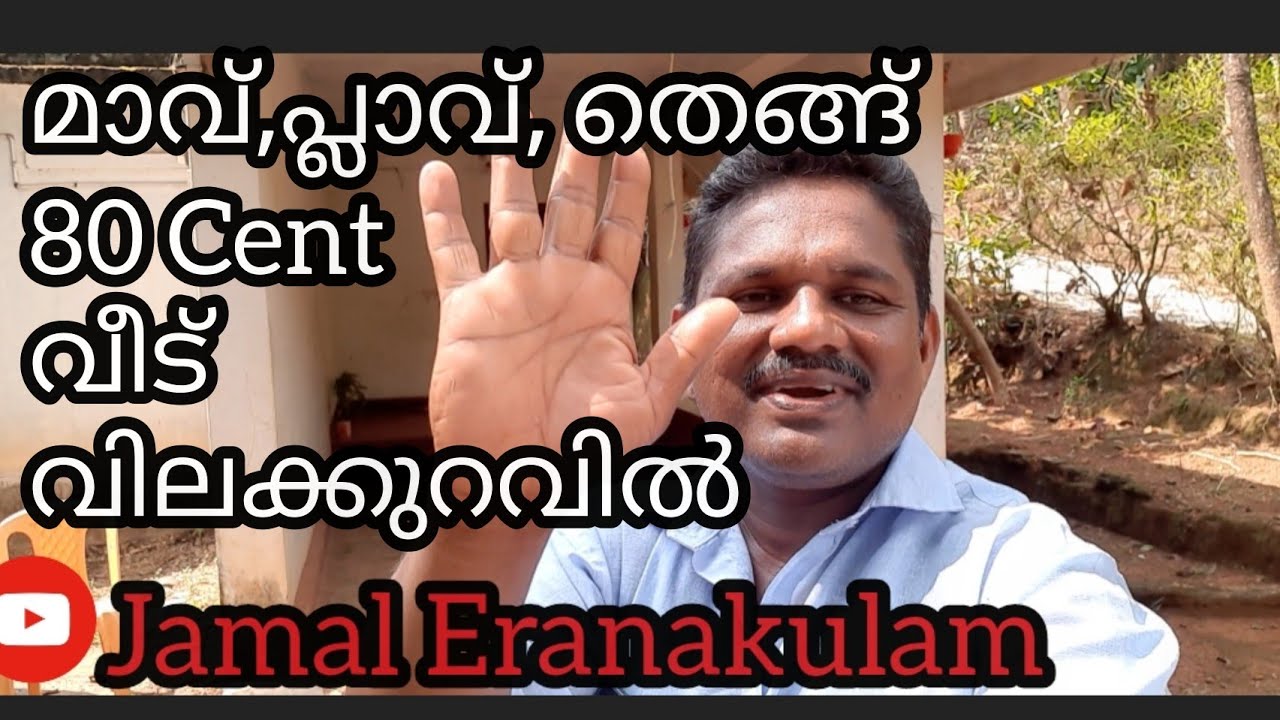 #JE80#JamalEranakulam മാവ്,പ്ലാവ്, തെങ്ങ്    80 Cent വീട്  വിലക്കുറവിൽ