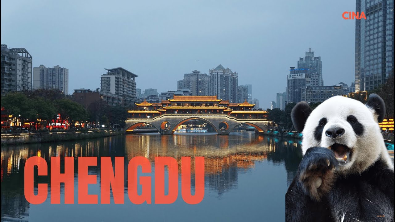 Vado a vedere i panda a Chengdu