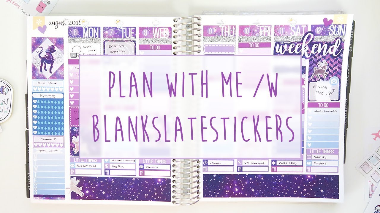 PLAN WITH ME in my Erin Condren Life Planner /w Blank Slate Stickers