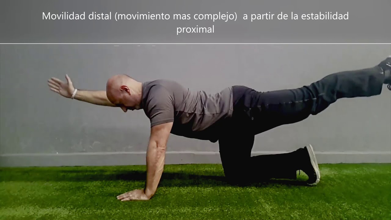Core/Núcleo Anti Rotación