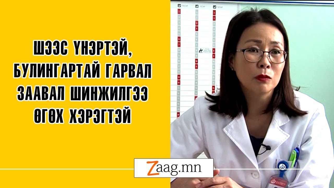 Ж.Түвшинбаяр: Шээс үнэртэй, булингартай гарвал заавал шинжилгээ өгөх хэрэгтэй