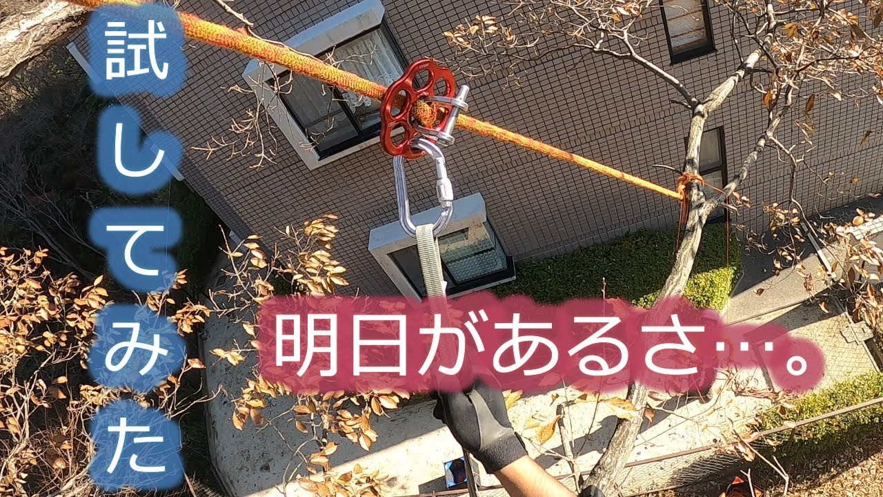 【Tree climbing】伐採って難しい...。Failure is the mother of success