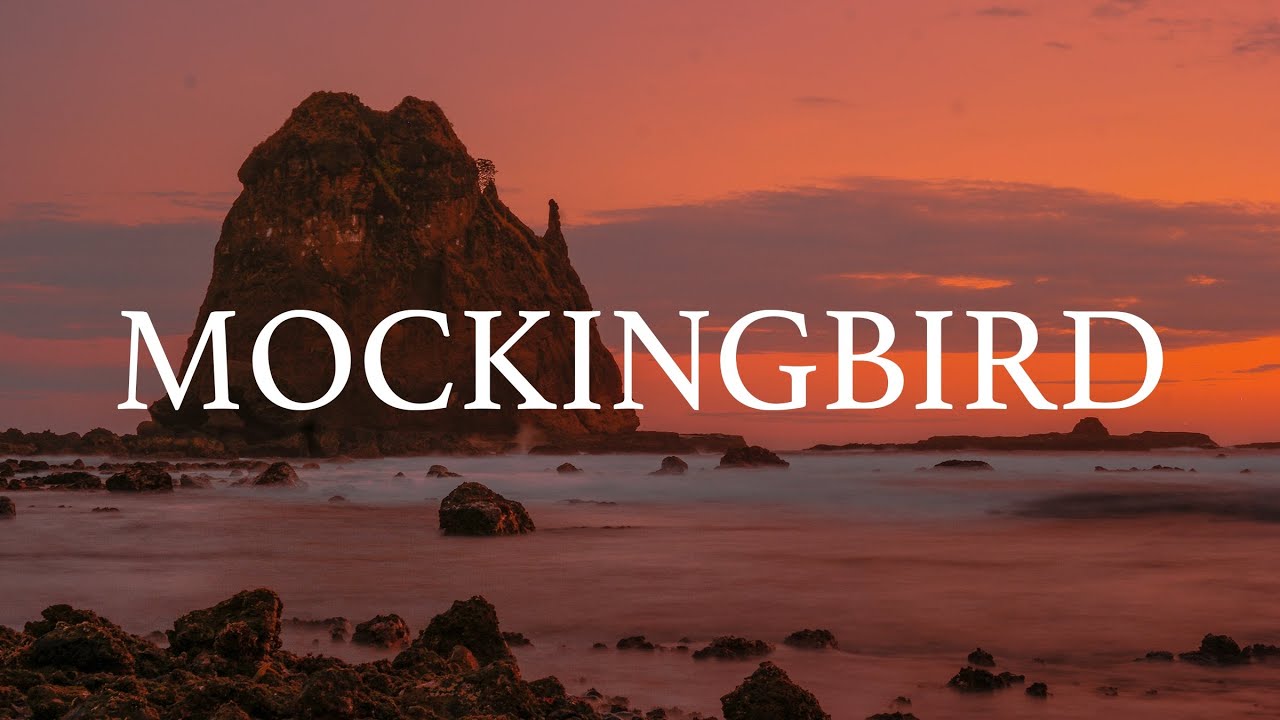 Eminem - Mockingbird (Cyril M & Kurlz Afro House Remix)