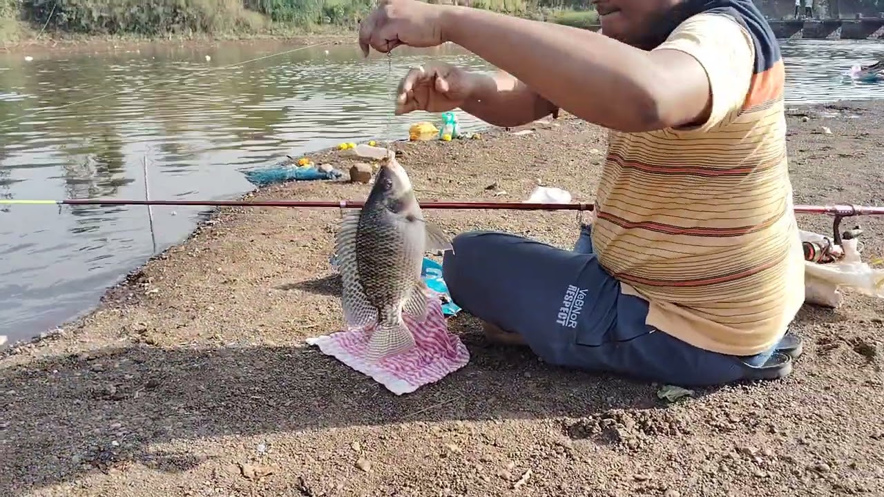 Jadu chare ka fishing Nadi mein fishing karna challenge ka barabar hai ful video dekho 🎣🐠🐟👍