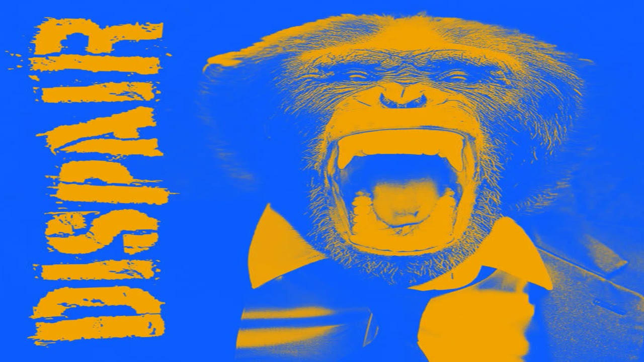 HARDCORE PUNK NEW RELEASES - September/October 2021