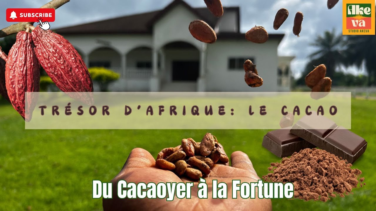 TR&Eacute;SOR D'AFRIQUE : Du cacaoyer &agrave; la richesse. Co&ucirc;t d'investissement, formation, entretien et vente.