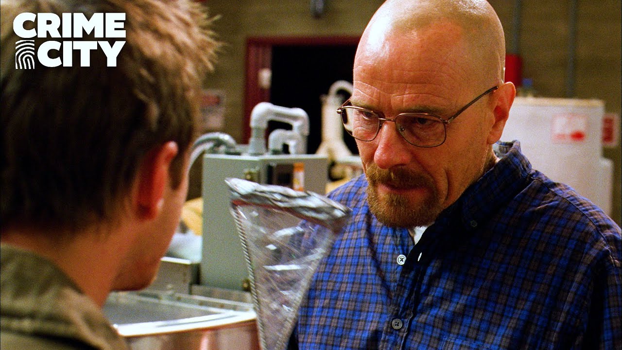This Fly Is Contaminating the Lab | Breaking Bad (Bryan Cranston, Aaron Paul)