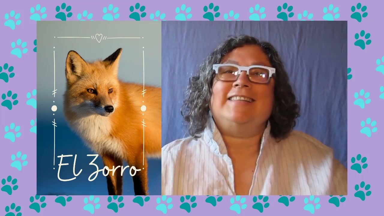 🦊    ZORRO Animal de Poder, Tótem Zorro significado del arquetipo Zorro