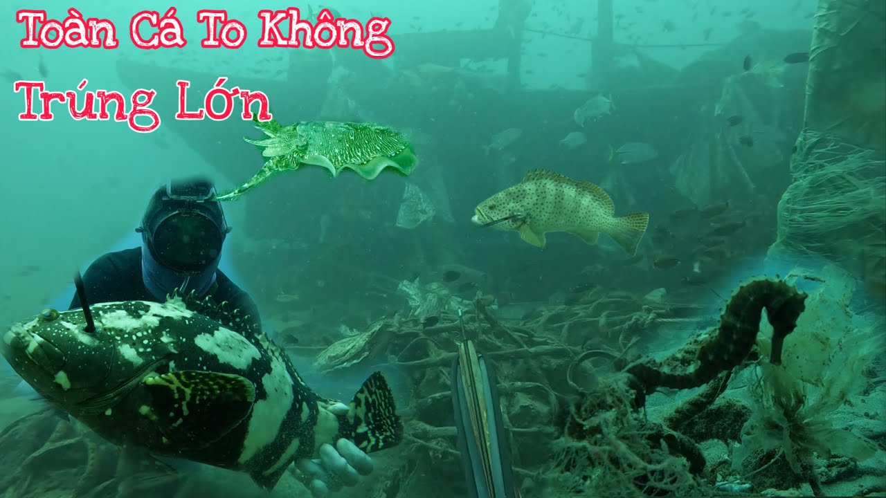 Tr&uacute;ng Lớn Tại Điểm Ch&agrave; Mới, Ph&aacute;t Hiện Chiếc Ghe Ch&igrave;m C&oacute; Nhiều C&aacute; Ở - P 13