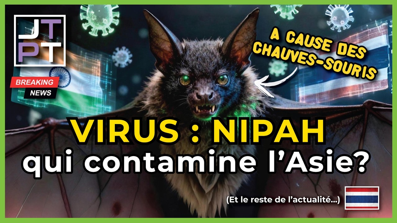 🦠 VIRUS NIPAH en Thaïlande 🇹🇭  ? Le virus indien qui fait peur ! #thailande #thaïlande #nipahvirus