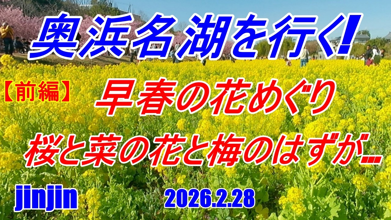 【奥浜名湖を行く　早春の花めぐり】　#スクーターツーリング    #バイクツーリング  #バイク    #スーパーカブc125   #大型スクーター   #桜　#梅