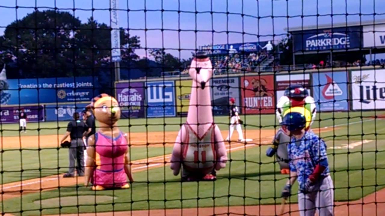 Zooperstars 2