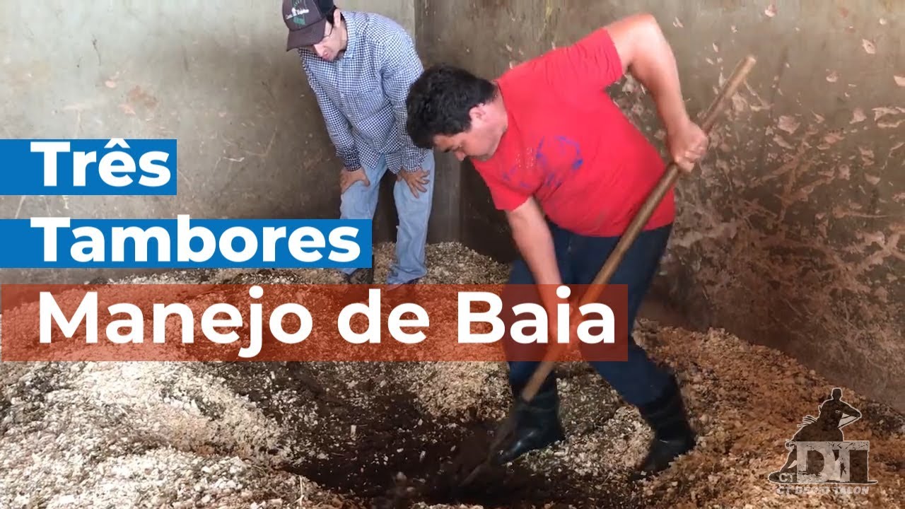 Manejo da tropa - Três tambores - Ep01 Manejo da Baia - Décio Talon