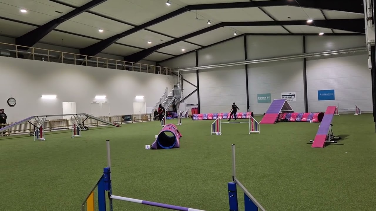 Adventskampen - Agility 2A - Daniel och Vilgot 