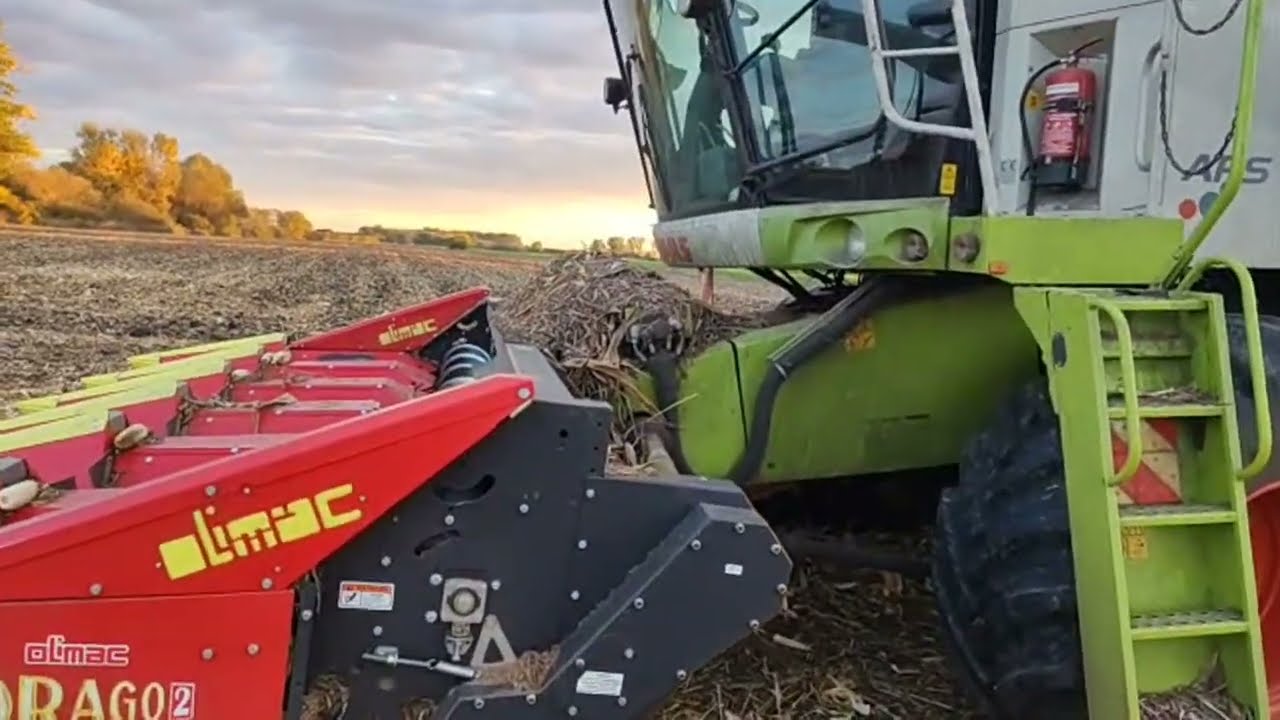 Claas Tucano 440 - vélemény és kuk. termés