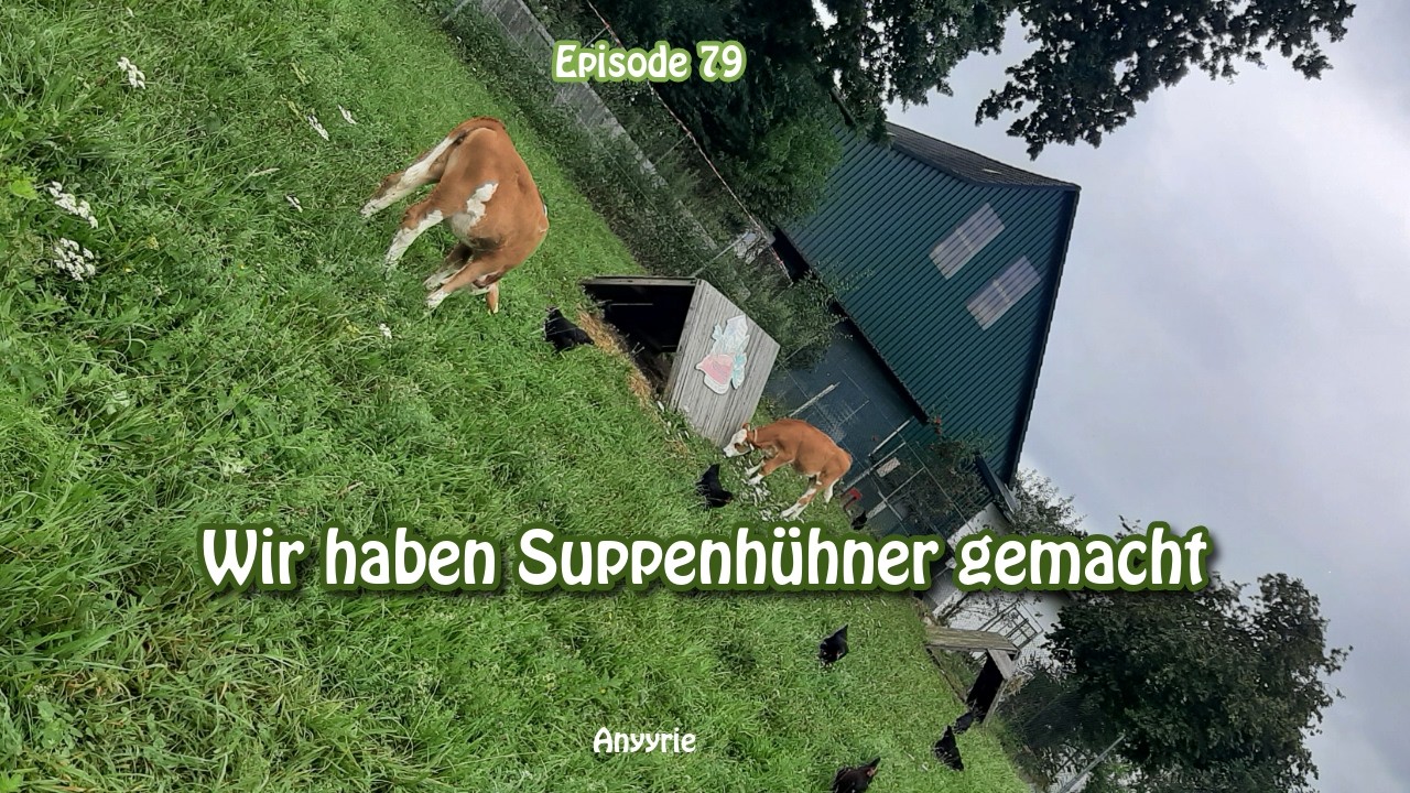Wir haben Suppenhühner gemacht - Episode 79