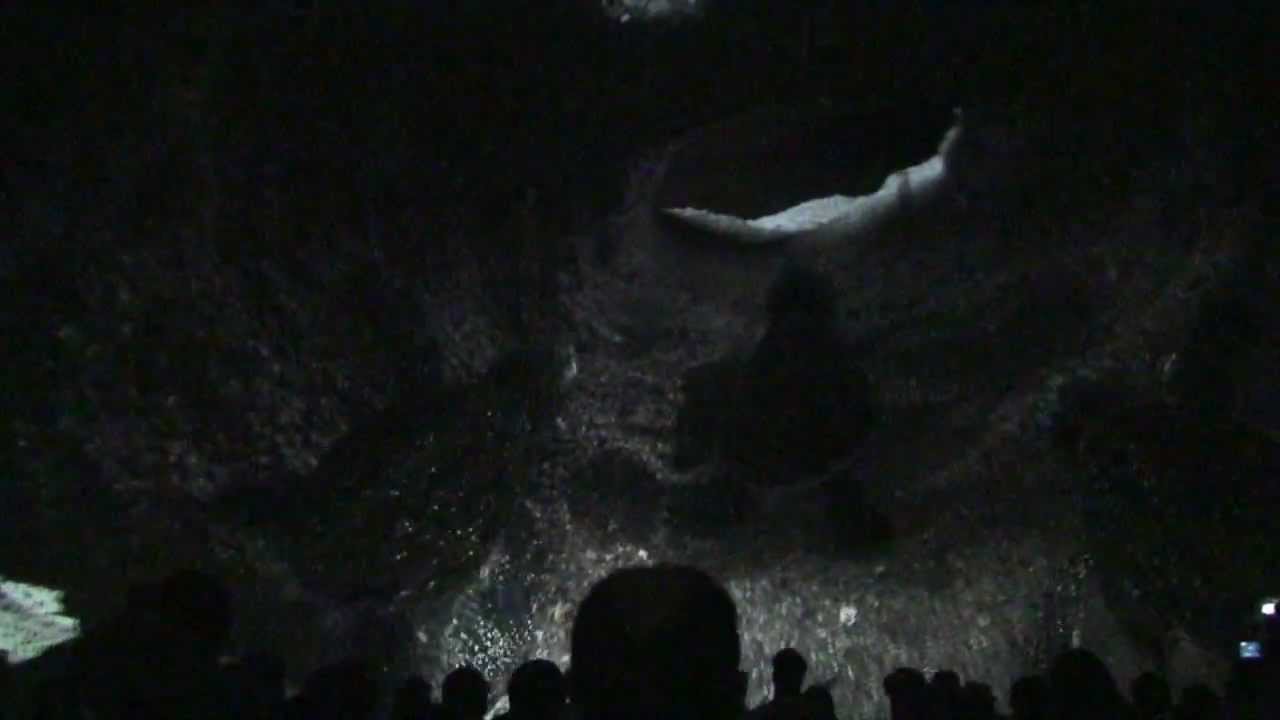 TurtleTrek SeaWorld Orlando, Full Show HD, Opening Day 4/27/12 3D 360 Degree Dome Theater