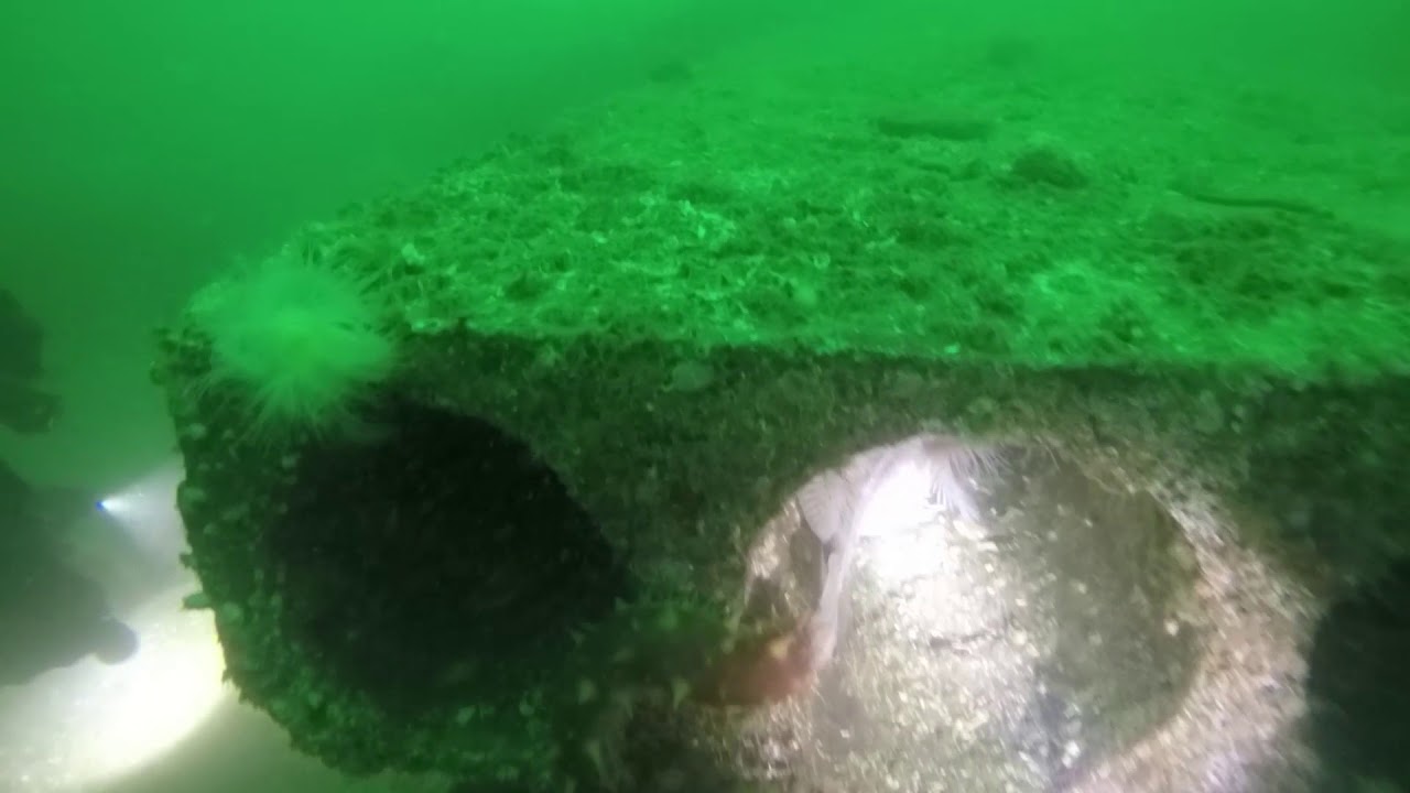 Les Davis, Tacoma Wa Dive
