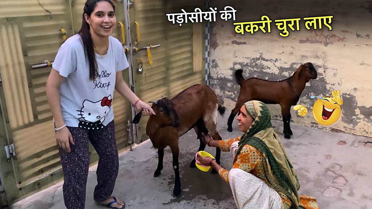 बकरी चुरा लाए  पड़ोसियों की 🐐 दूध निकाल के बनाई चाय ☕️😁
