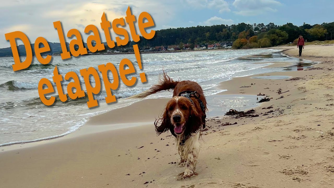 Geweldige kustwandelingen in Skåne en Öland. Onze laatste weken in Zweden #014
