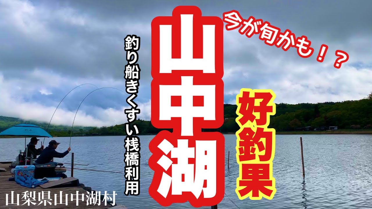 ビギナーズラック！絶好調の山中湖 へらぶな釣り