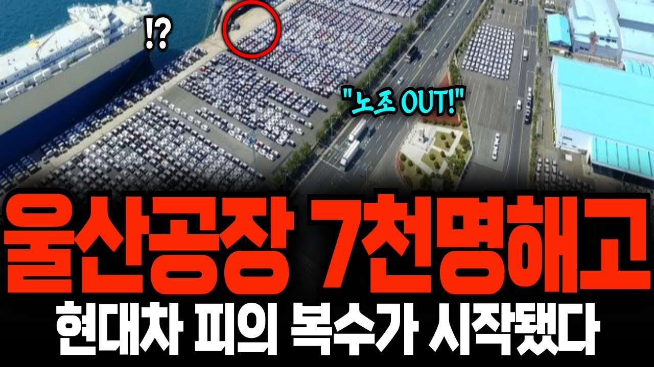억대 연봉에서 최저시급으로 추락! 현대 울산공장 킹산직의 몰락 노조도 못 막는 아틀라스 보유사 피의 복수가 시작됐다.