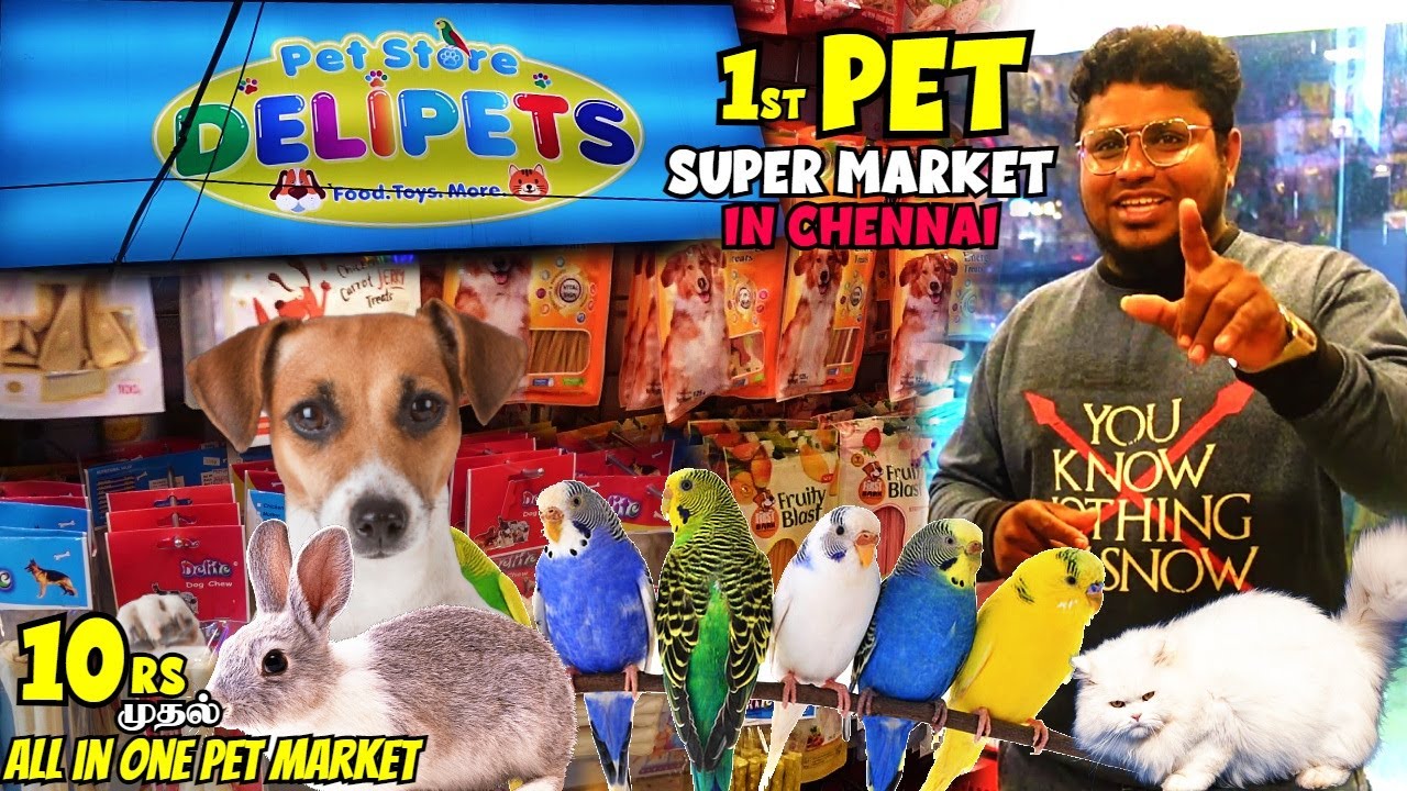 Cheapest Pet Super Market | 10₹ Pet Foods & Pet Accessories | DeliPets Market