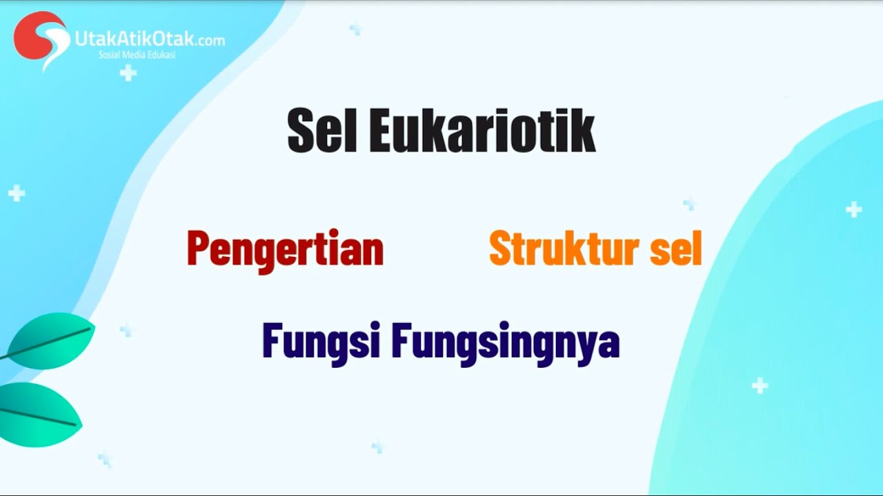 Pengertian, Struktur, dan Fungsi Sel Eukariotik