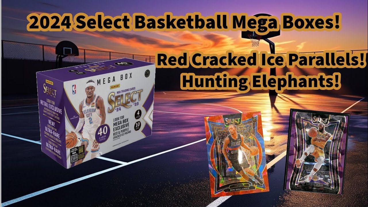 2024 Select Basketball Mega Boxes! Trying to head to the zoo!