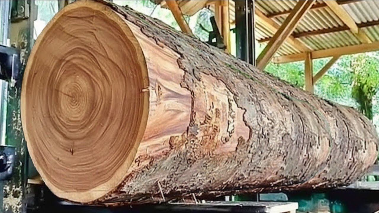 🌲Техника раскалывания больших тиковых бревен с сохранением красивой текстуры древесины🌲